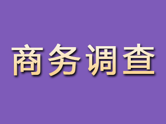 海门商务调查